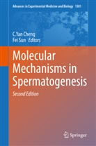 C. Yan Cheng, C.Yan Cheng, Sun, Sun, Fei Sun, Yan Cheng... - Molecular Mechanisms in Spermatogenesis