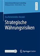 Eva Reitelshöfer-Hendel - Strategische Währungsrisiken