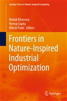 Neera Gupta, Neeraj Gupta, Mahdi Khosravy, Nilesh Patel - Frontiers in Nature-Inspired Industrial Optimization