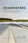 Dylan Tomine, Tomine Dylan, Frances Ashforth - Headwaters