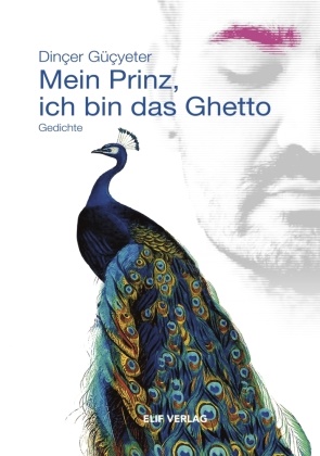 Dinçer Güçyeter - Mein Prinz, ich bin das Ghetto Gedichte