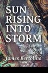 James Bertolino, Lana Hechtman Ayers - Sun Rising into Storm