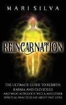 Mari Silva - Reincarnation