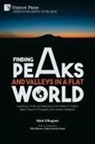 Mark Ellingsen - Finding Peaks and Valleys in a Flat World