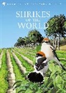 Norbert Lefranc, Lefranc Norbert, Tim Worfolk, Worfolk Tim - Shrikes of the World