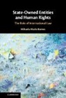 Mihaela Maria Barnes - State-Owned Entities and Human Rights