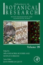 Mélanie Morel-Rouhier, Rodnay Sormani - Wood Degradation and Ligninolytic Fungi