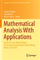 Arkadi Kim, Arkadii Kim, Sandra Pinelas, Victor Vlasov - Mathematical Analysis With Applications