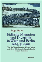 Ingo Haar, Ingo (Dr.) Haar - Jüdische Migration und Diversität in Wien und Berlin 1667/71-1918