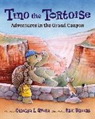 Carolyn L Ahern, Carolyn L. Ahern, Erik Brooks, Brooks Erik - Tino the Tortoise
