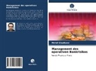 Mehdi Ghodbane - Management des operativen Bankrisikos