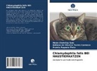 Aramis Augusto Pinto, Meir Christina Seki, Meire Christina Seki, de Oliveira Torres Carrasco, Adriano de Oliveira Torres Carrasco - Chlamydophila felis BEI HAUSTIERKATZEN