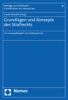 Frauk Rostalski, Frauke Rostalski - Grundlagen und Konzepte des Strafrechts