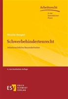 Nicolai Besgen, Nicolai (Dr.) Besgen, Nicolai (Prof. Dr.) Besgen - Schwerbehindertenrecht