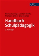 Gläser-Zikuda, Michaela Gläser-Zikuda, Marius Harring, Carsten Rohlfs - Handbuch Schulpädagogik