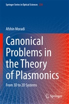 Afshin Moradi - Canonical Problems in the Theory of Plasmonics