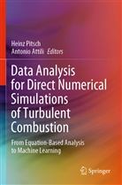 Attili, Attili, Antonio Attili, Hein Pitsch, Heinz Pitsch - Data Analysis for Direct Numerical Simulations of Turbulent Combustion