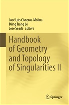 Jose Luis Cisneros-Molina, José Luis Cisneros-Molina, D¿ng Tráng Lê, Dng Tráng Lê, Dung Tráng Lê, José Seade... - Handbook of Geometry and Topology of Singularities II