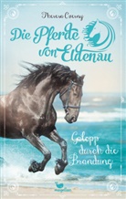 Theresa Czerny - Die Pferde von Eldenau - Galopp durch die Brandung