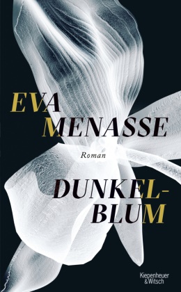 Eva Menasse - Dunkelblum - Roman
