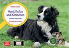 Monika Lehner - Hund, Katze und Kaninchen. Unsere Haustiere. Kamishibai Bildkarten und Memo-Spiel