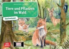 Katharina Stöckl, Katharina Stöckl-Bauer, Monika Klars - Tiere und Pflanzen im Wald. Kamishibai Bildkartenset