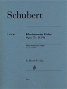 Dominik Rahmer - Franz Schubert - Klaviersonate G-dur op. 78 D 894