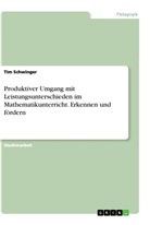 Tim Schwinger - Produktiver Umgang mit Leistungsunterschieden im Mathematikunterricht. Erkennen und fördern