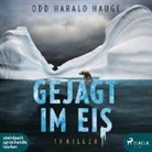 Odd Harald Hauge, Sebastian Dunkelberg, Emil Schwarz - Gejagt im Eis, 2 Audio-CD, 2 MP3 (Hörbuch)