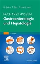 Thoma Berg, Thomas Berg, Peter Layer, Ulrich Rosien - Facharztwissen Gastroenterologie
