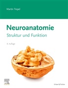 Martin Trepel, Martin (Prof. Dr.) Trepel - Neuroanatomie