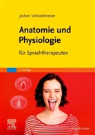 Jochen Schindelmeiser - Anatomie und Physiologie