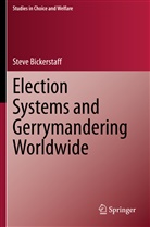 Steve Bickerstaff - Election Systems and Gerrymandering Worldwide