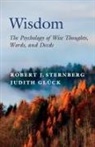 Judith Gluck, Judith Glück, Robert J Sternberg, Robert J. Sternberg, Robert J. (Cornell University Sternberg, Sternberg Robert J. - Wisdom