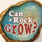 Audrey Sauble - Can a Rock Grow?