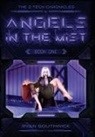 Ryan Southwick - Angels in the Mist