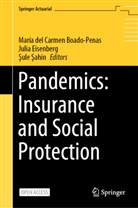 ¿Ule ¿Ahin¿¿¿, ule ahin, María del Carmen Boado-Penas, Juli Eisenberg, Julia Eisenberg, sule sahin... - Pandemics: Insurance and Social Protection