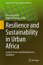 Chigudu, Chigudu, Andrew Chigudu, Innocen Chirisa, Innocent Chirisa - Resilience and Sustainability in Urban Africa