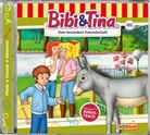 Bibi & Tina - Die besondere Freundschaft, 1 Audio-CD (Audio book)