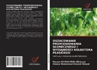 Hassan Ali Mohi-Eldin Elhassan, Osama Mohammed Elmardi Khayal - OSZACOWANIE PROMIENIOWANIA S¿ONECZNEGO I WYDAJNO¿CI KOLEKTORA P¿ASKIEGO
