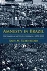 Ann M Schneider, Ann M. Schneider - Amnesty in Brazil