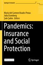 ¿Ule ¿Ahin¿¿¿, ule ahin, María del Carmen Boado-Penas, Juli Eisenberg, Julia Eisenberg, sule sahin... - Pandemics: Insurance and Social Protection
