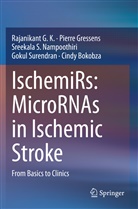 Cindy Bokobza, Rajanikan G K, Rajanikant G K, Rajanikant G. K., Pierr Gressens, Pierre Gressens... - IschemiRs: MicroRNAs in Ischemic Stroke