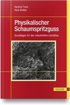 Roger u a Kaufmann, Hartmu Traut, Hartmut Traut, Hans Wobbe - Physikalischer Schaumspritzguss