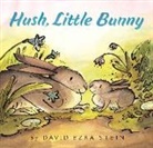 David Ezra Stein, David Ezra Stein - Hush, Little Bunny Board Book