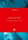 Rafael Camacho, Sérgio António Neves Lousada - Underwater Work