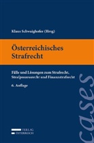 Margarethe Flora, Verena Murschetz, Andreas Scheil, Andreas Venier, Klaus Schwaighofer - Österreichisches Strafrecht