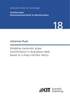 Johannes Ruck - Modeling martensitic phase transformation in dual phase steels based on a sharp interface theory