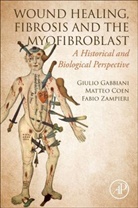 Matteo Coen, Giulio Gabbiani, Giulio/ Coen Gabbiani, Gabbiani Giulio, Fabio Zampieri - Wound Healing, Fibrosis, and the Myofibroblast