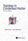 Miguel A N Araujo, Miguel Araújo, Miguel Araujo &amp; Pedro Sacramento, Pedro Sacramento, Sacramento Pedro - Topology In Condensed Matter: An Introduction